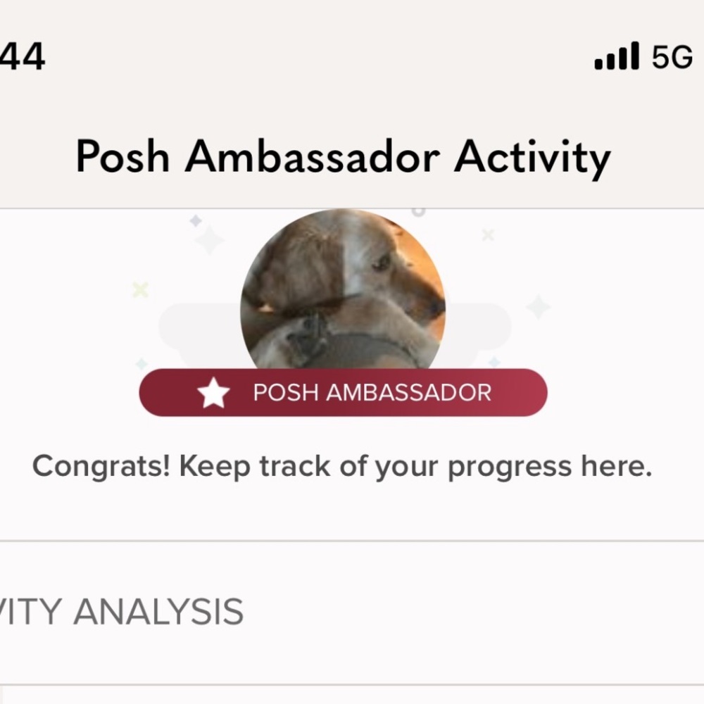 posh ambassador!!